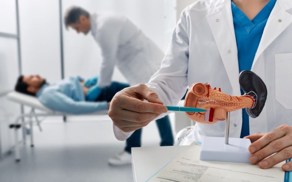 model anatomic 3d al unui pancreas consultatie medicala pancreatita